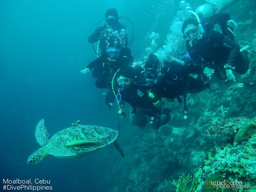 Asian Belgian Dive Resort Moalboal Exterior photo