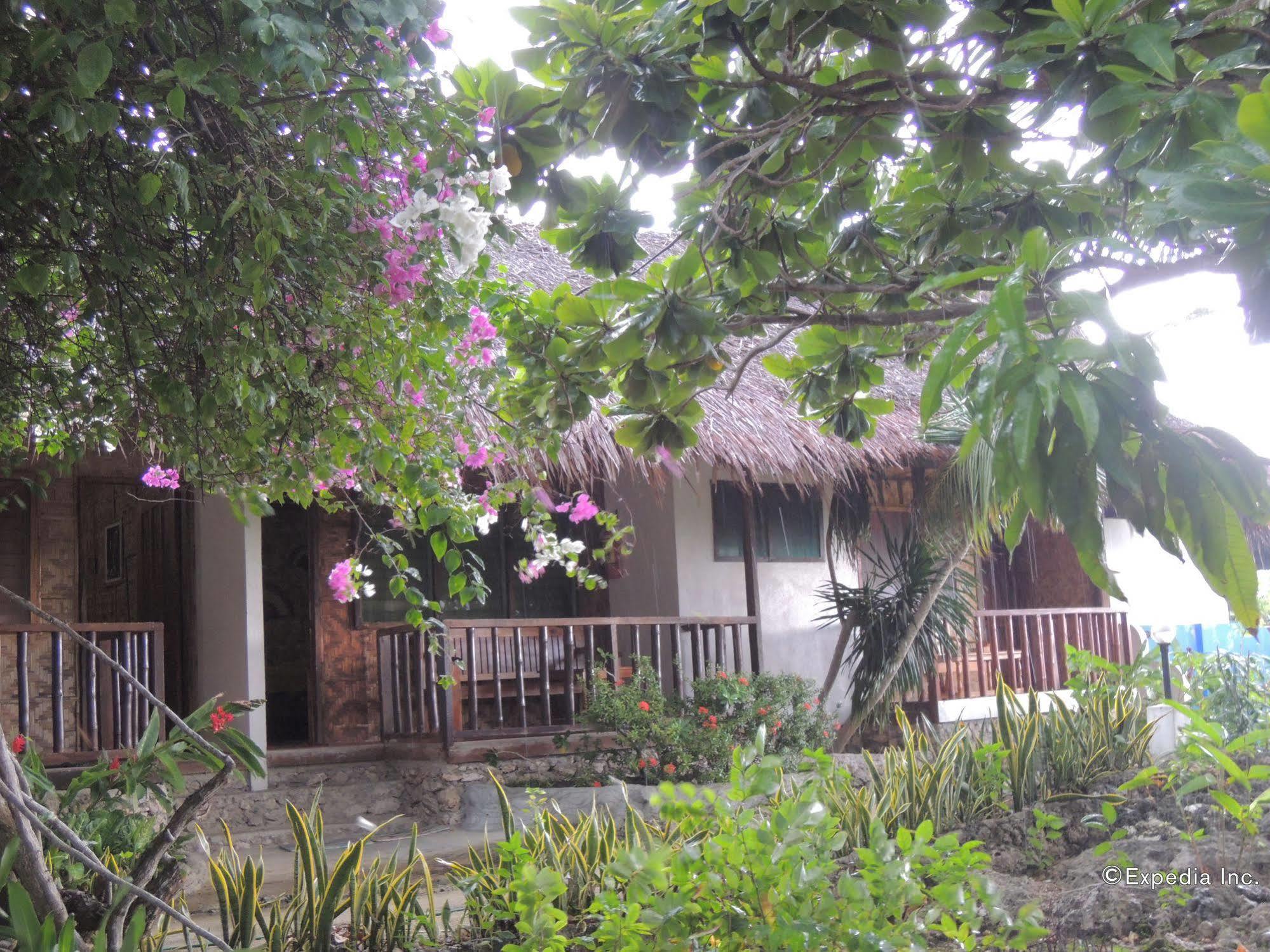 Asian Belgian Dive Resort Moalboal Exterior photo